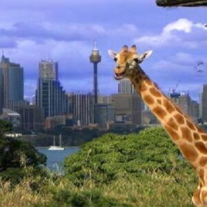 Top 10+ Vườn thú Sydney (Sydney Zoo) hot nhất hiện nay