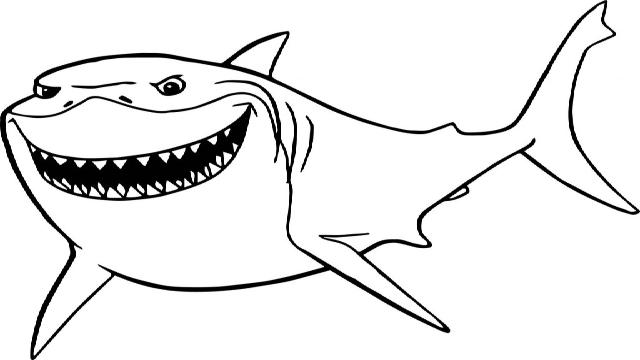 Tranh tô màu con cá mập ngầu nhất