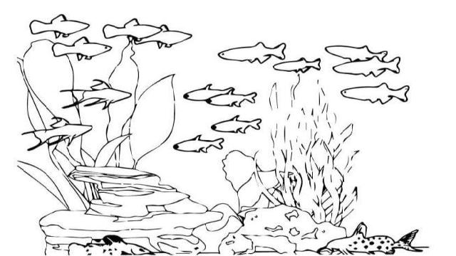 Tranh tô màu phong cảnh quê hương hình đàn cá đơn giản